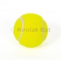 Pelota Cesta Iniciación