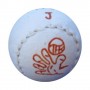 Pelota Goxua Juvenil Otero